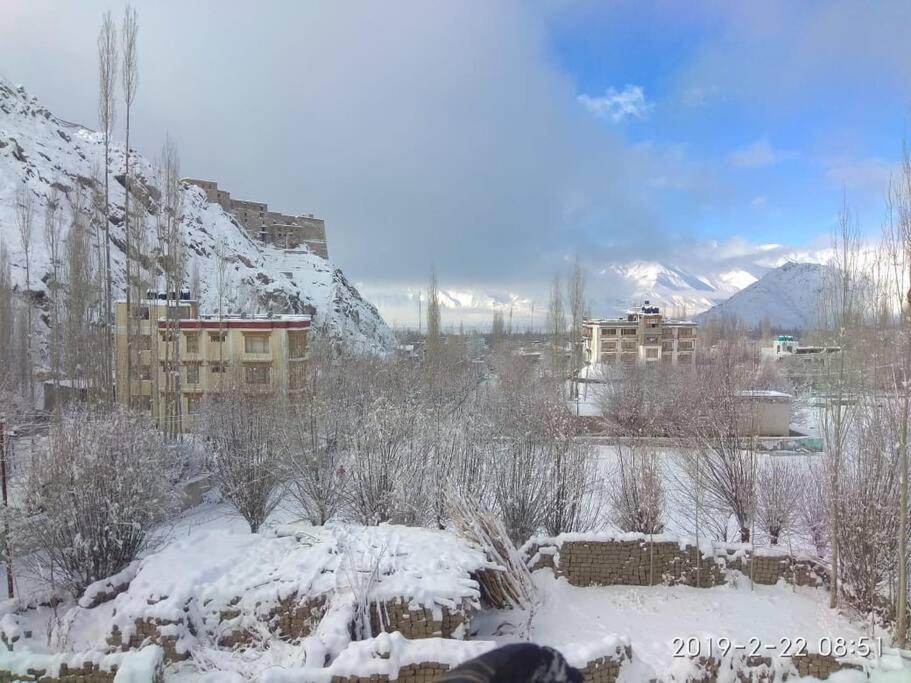 Hotel Snow Lion Ladakh Leh Esterno foto